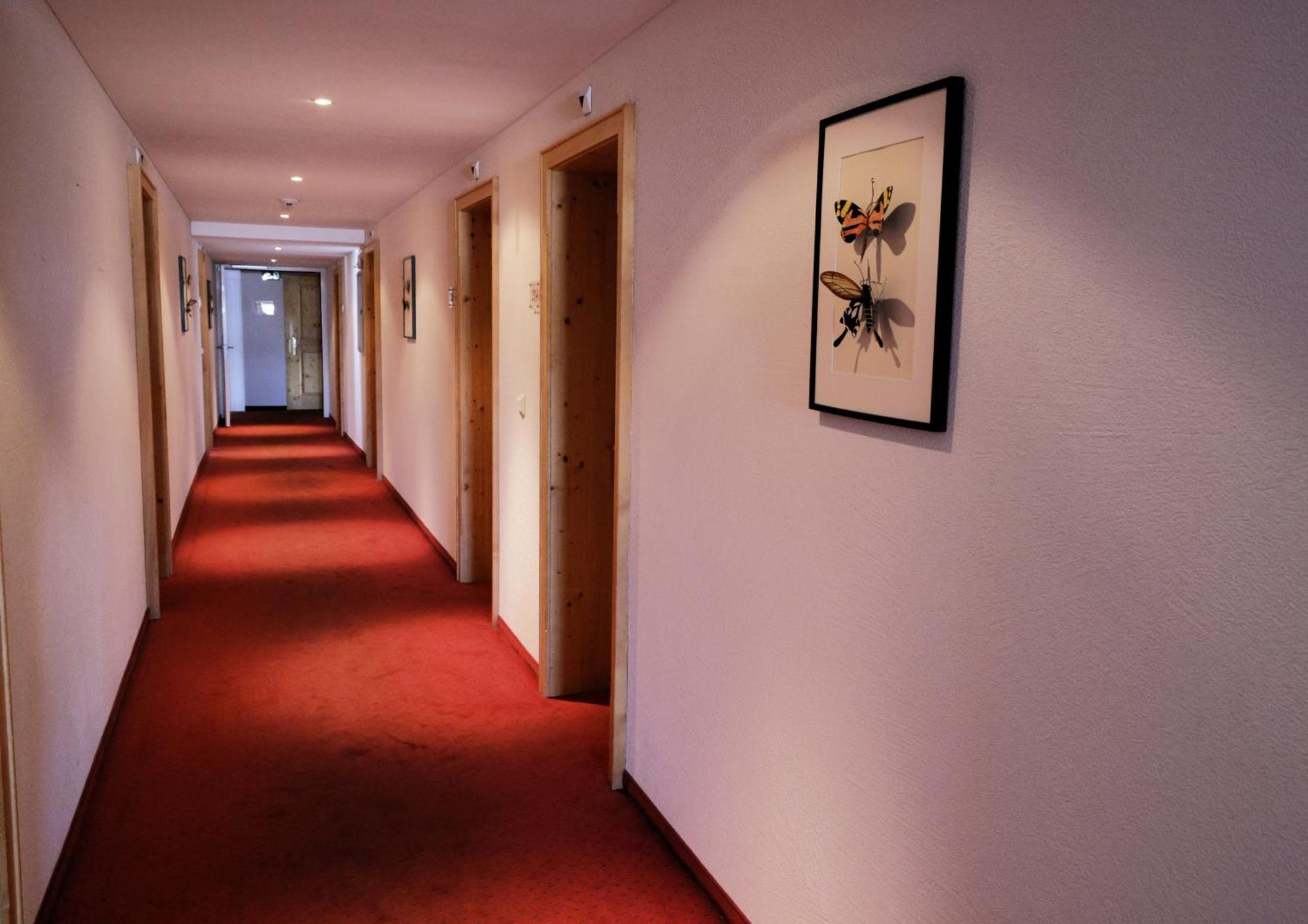 Hotel Alpina Parpan Dış mekan fotoğraf